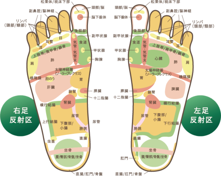 足のマーサージ、リフレ