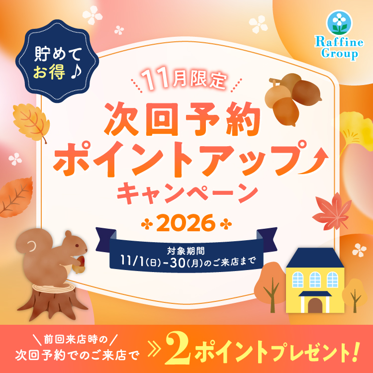 11月限定キャンペーン